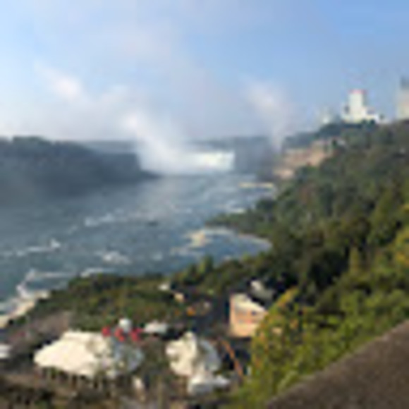 Meet your Posher, Robin - Picture 1 of 1